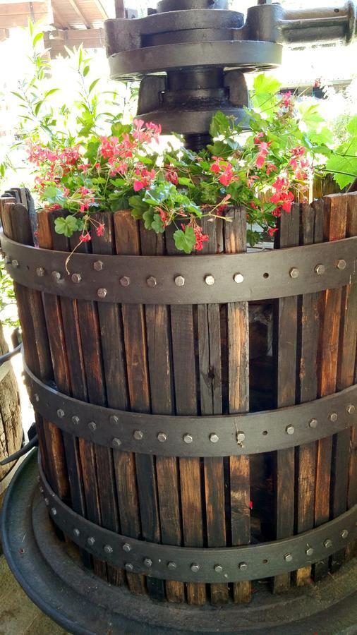 Relais Profumo Di Vino Panzió Borgomanero Kültér fotó